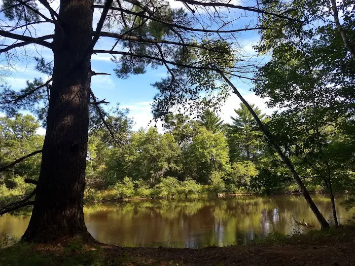 East Fork campground 6