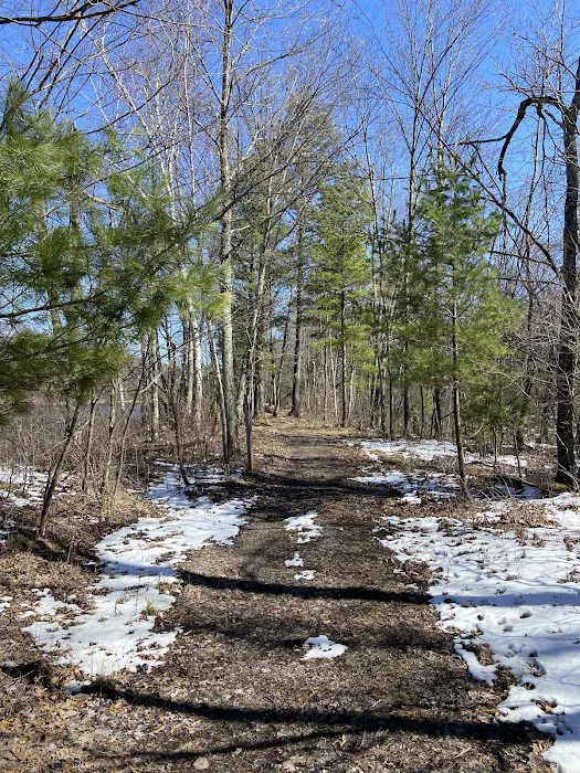 East Fork campground 7