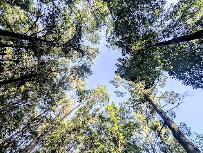 Russell Memorial Park and Campground 7