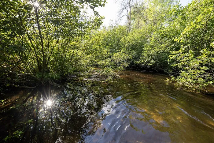 Winding Creek Campground 2