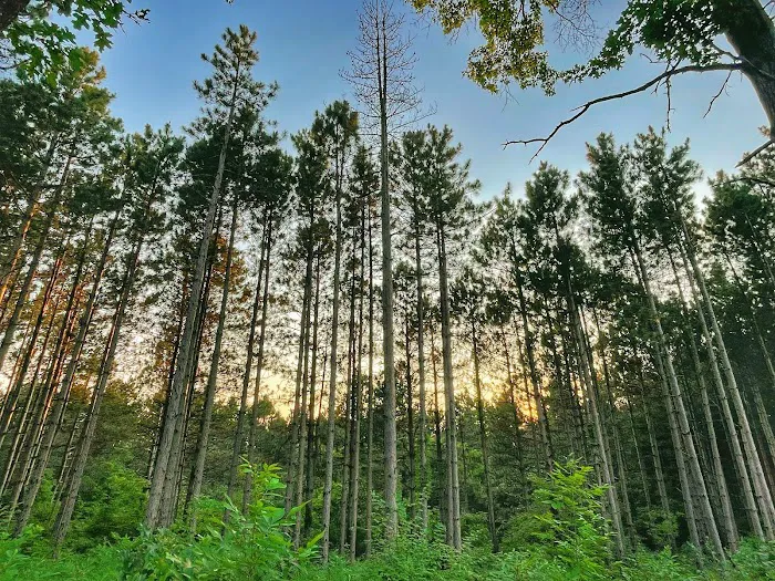 Vinegar Ridge Recreation Area 5