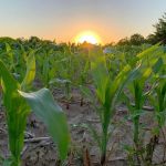 Wet Bark Recreation Area