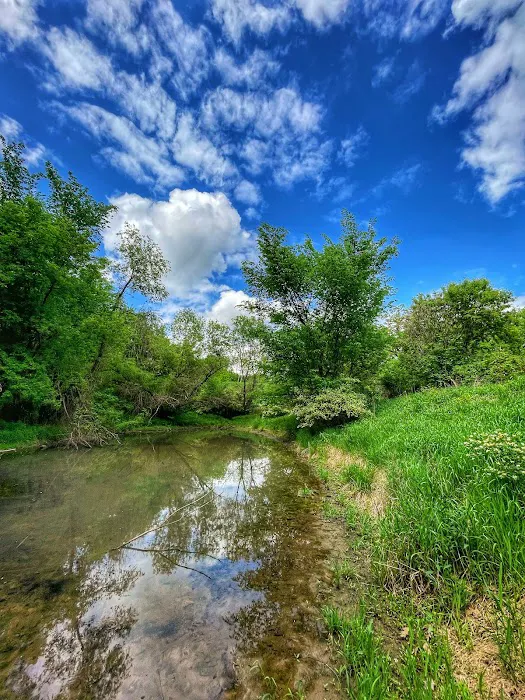 Wet Bark Recreation Area 3