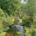 Beaver Creek Valley Campground
