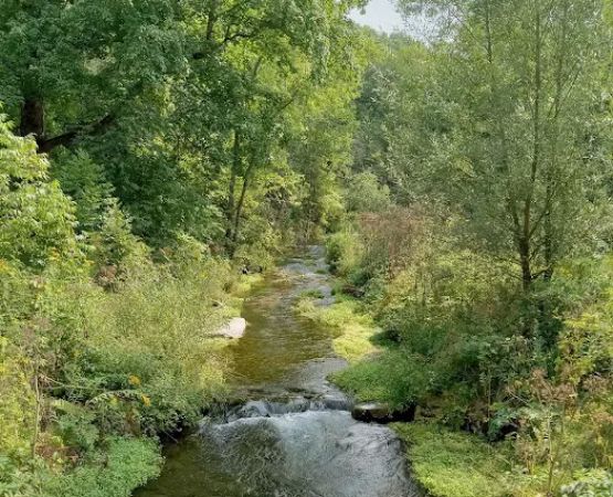 Beaver Creek Valley Campground