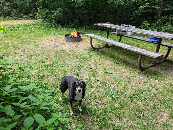 Beaver Creek Valley Campground 8