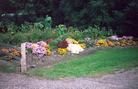 Hixton / Alma Center KOA Holiday 5