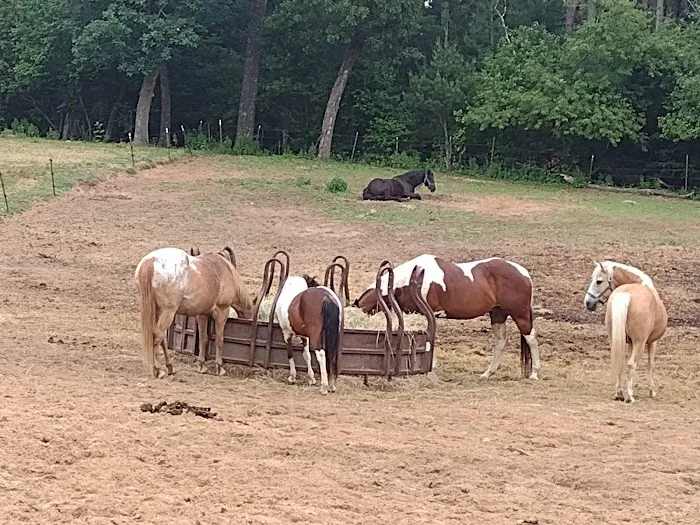 Wild West Campground and Corral 6