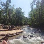 Mount Magazine Horse Camp Trail Head