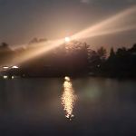 Barking Bear Leisure Park