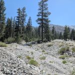 Stockton Flats Yellow Post Sites