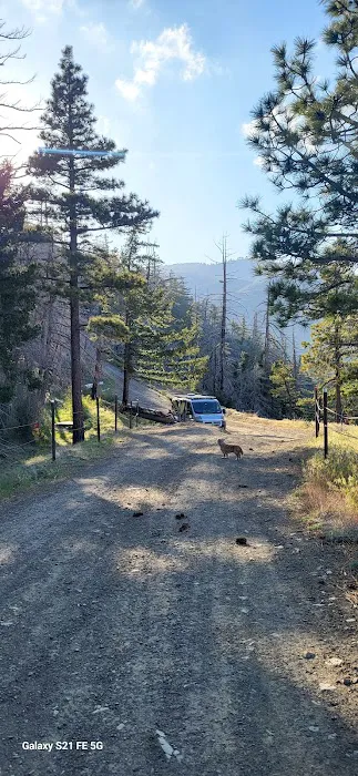 Gobbler's Knob Yellow Post Sites 4