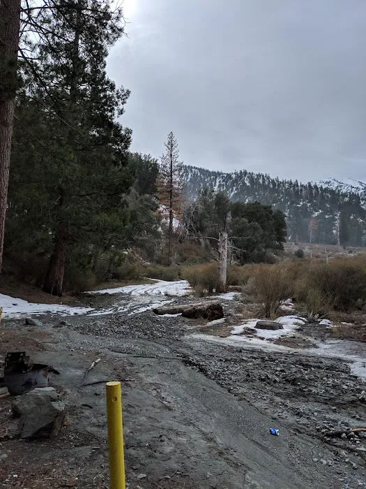 Gobbler's Knob Yellow Post Sites 7