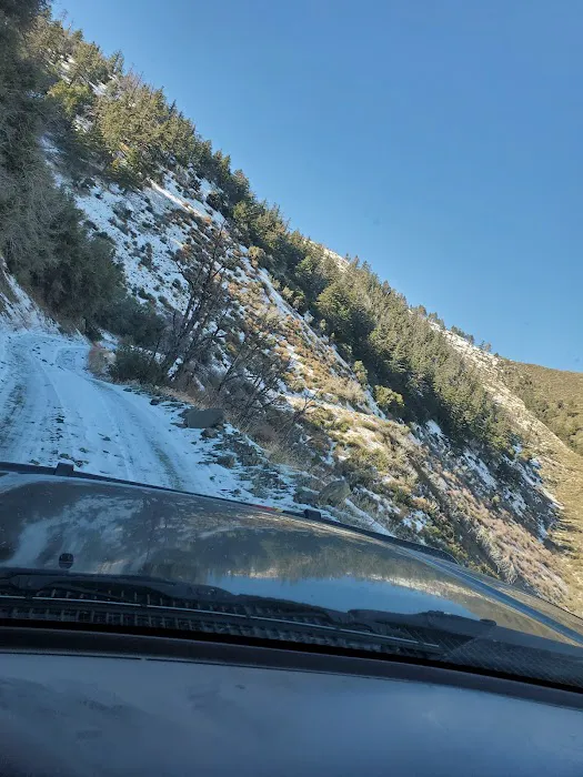 Gobbler's Knob Yellow Post Sites 9