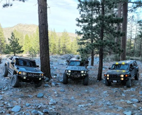 Paiute Canyon Yellow Post Sites