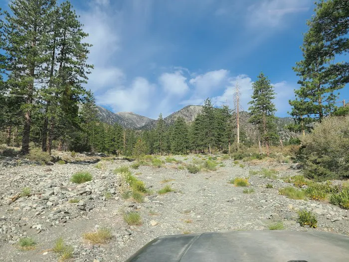 Yellow Post Site 13: Alpine Canyon 0