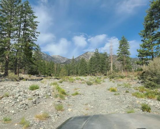 Yellow Post Site 13: Alpine Canyon