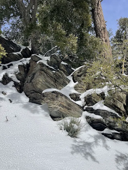 Yellow Post Site 13: Alpine Canyon 1