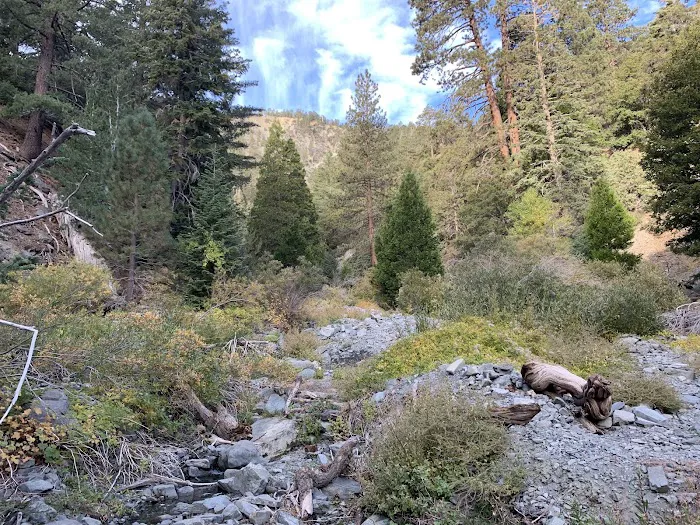 Yellow Post Site 13: Alpine Canyon 5