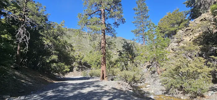 Yellow Post Site 13: Alpine Canyon 6
