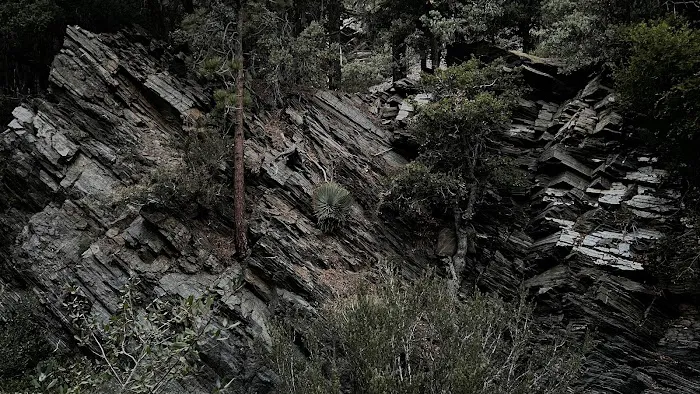 Yellow Post Site 13: Alpine Canyon 8