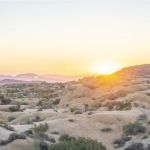 Jumbo Rocks Campground