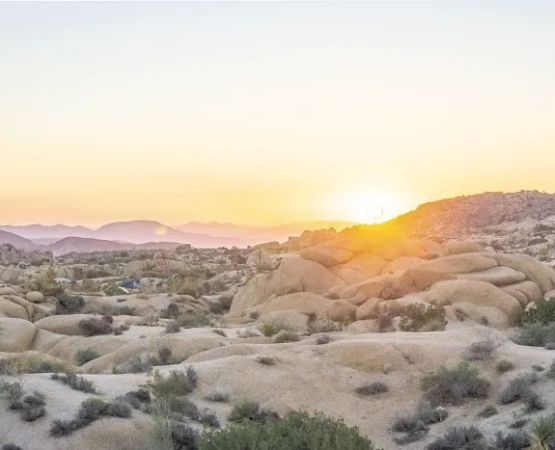 Jumbo Rocks Campground