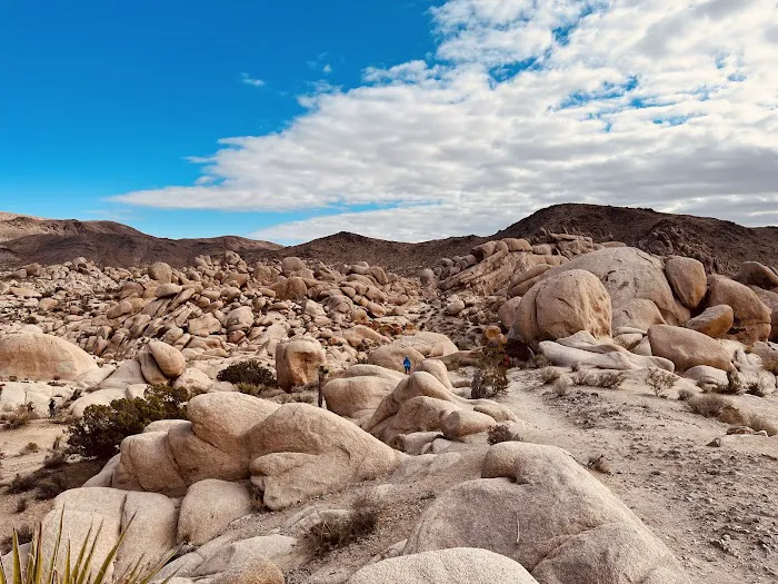 White Tank Campground 0