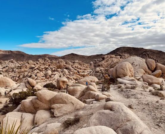 White Tank Campground