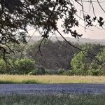 QUINTA LA GRAN FAMILIA