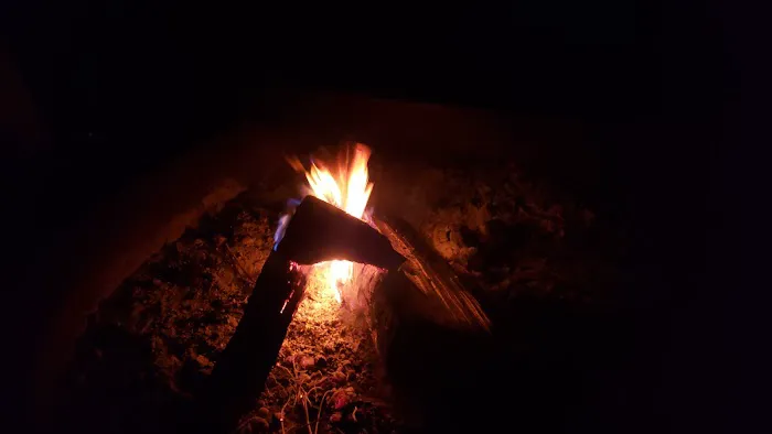 Riverview Campground (recgovnpsdata) 8