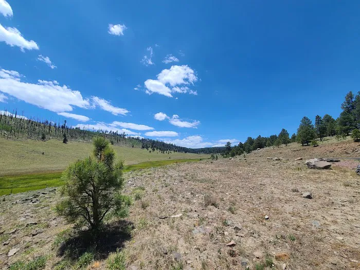 Alpine Ranger Station 3