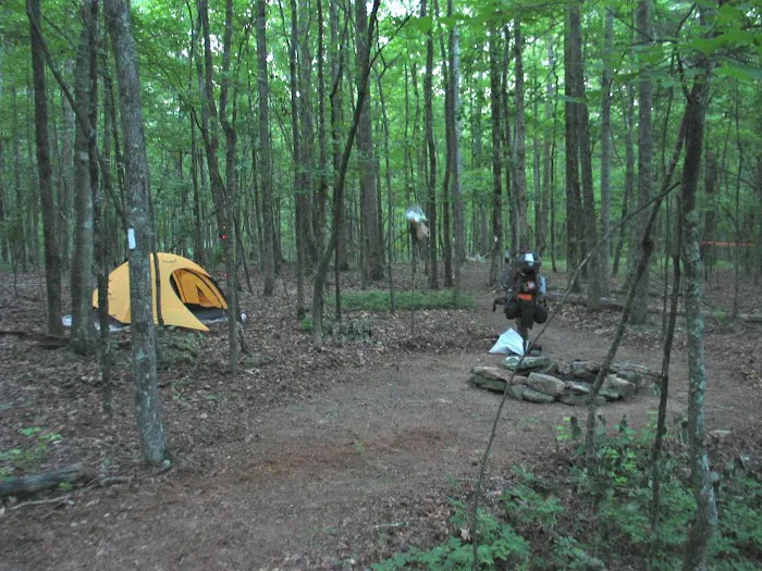 Big Oak Springs Campsite 2