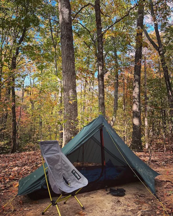 Jenkins Springs Campsite 2