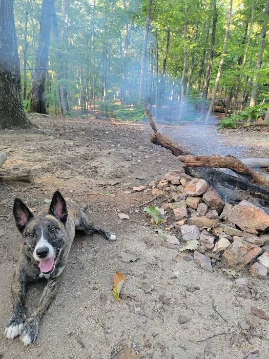 Jenkins Springs Campsite 4