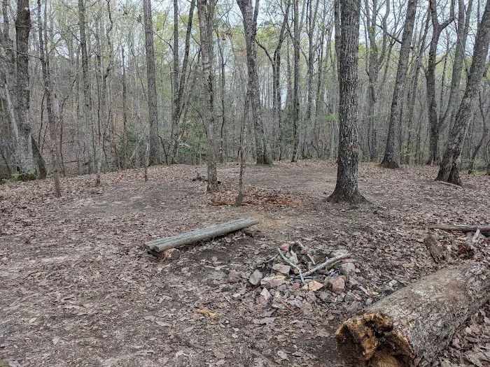 Jenkins Springs Campsite 7