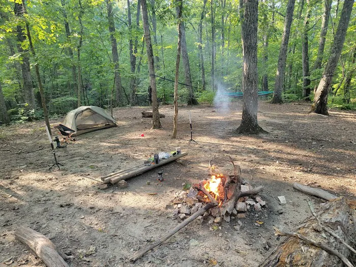 Jenkins Springs Campsite 9