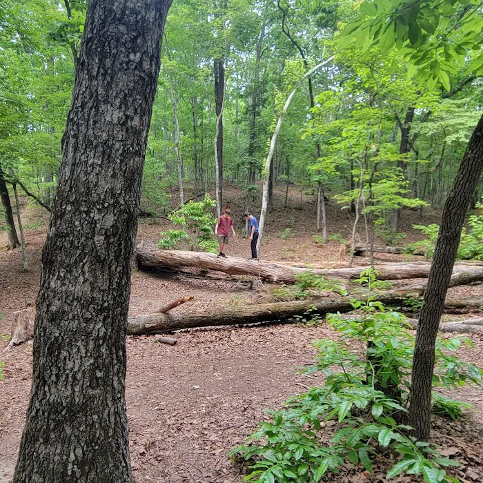 Turtle Hollow Campsite 0