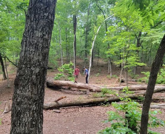 Turtle Hollow Campsite