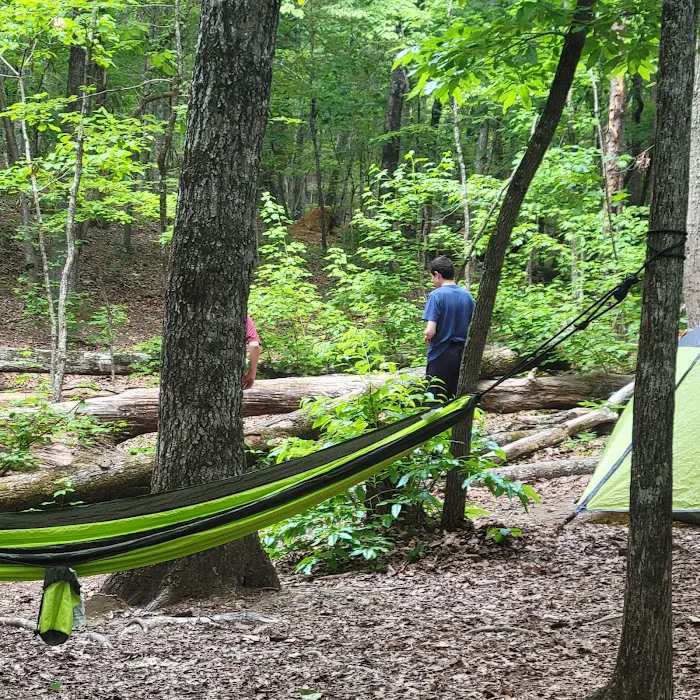 Turtle Hollow Campsite 1