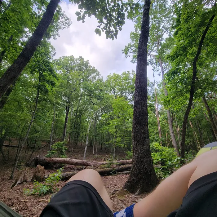 Turtle Hollow Campsite 3