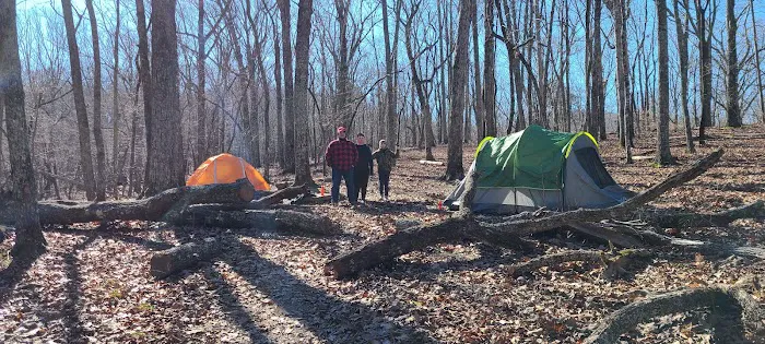 Turtle Hollow Campsite 9