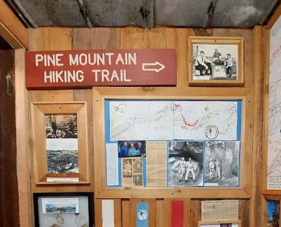 FDR State Park Pioneer Camping