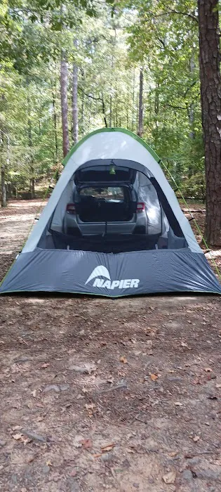 Pioneer Campsite #3 6