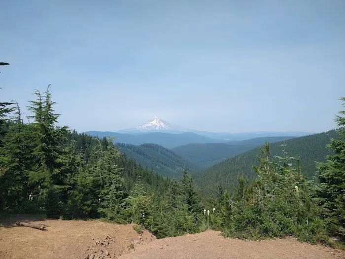 FS road 2130 Mt Hood National Forest 0