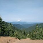 FS road 2130 Mt Hood National Forest