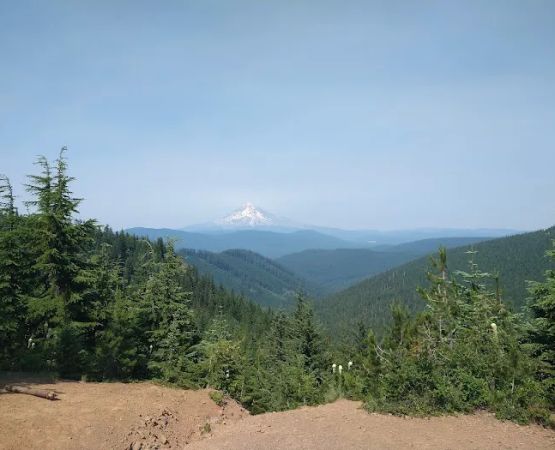 FS road 2130 Mt Hood National Forest