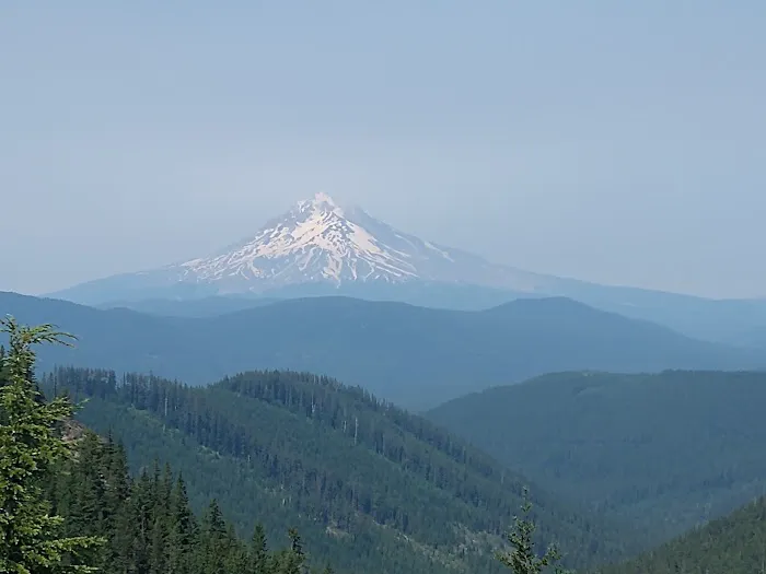 FS road 2130 Mt Hood National Forest 1