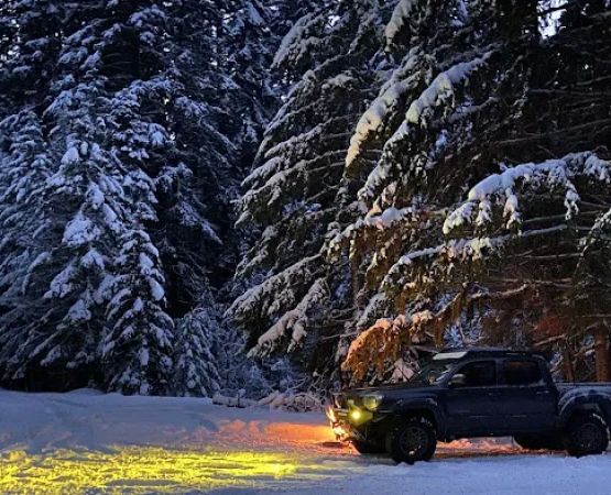 Bear Springs Group campground