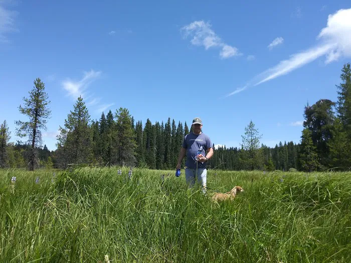 Bear Springs Group campground 5